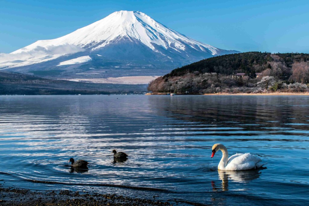 富士山